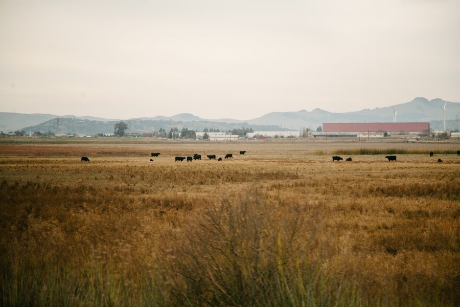 Train Across America