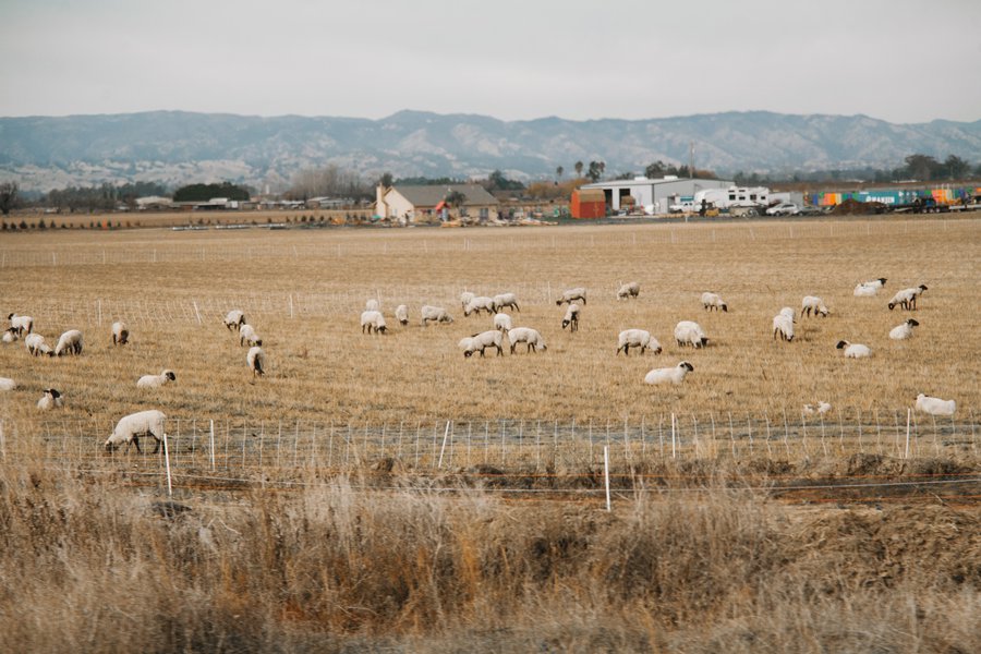 Train Across America