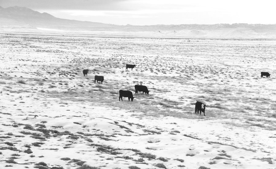 Train Across America