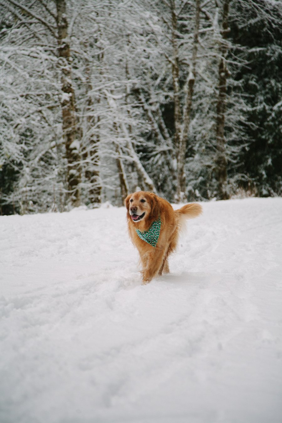 Train Across America