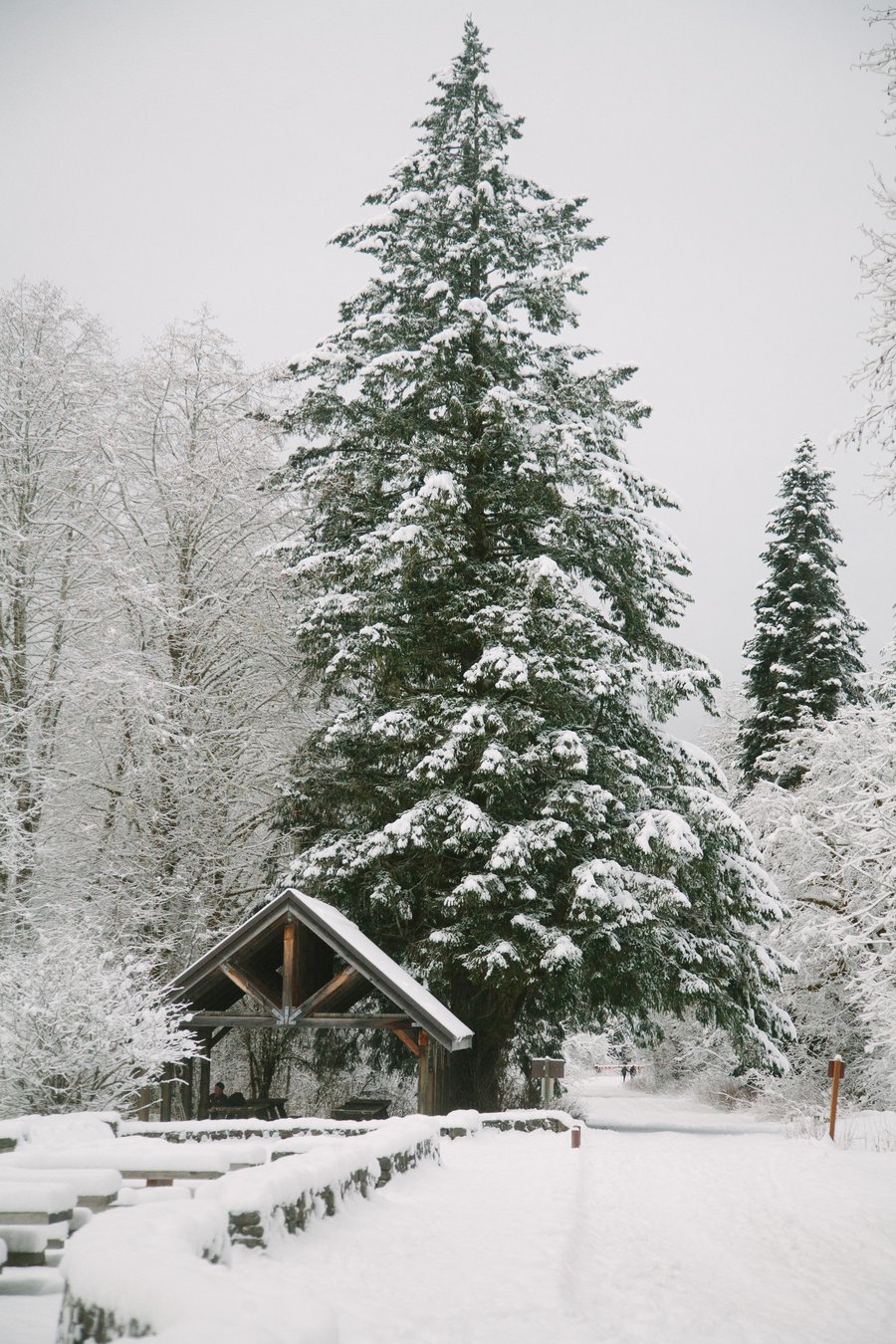 Train Across America